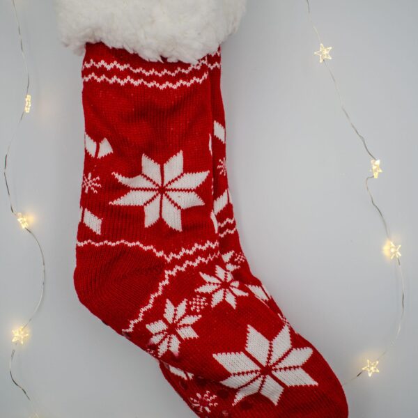 DSC_0048-2 FestiveFeet Socks