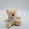 DSC_0058 SoftBear Plush