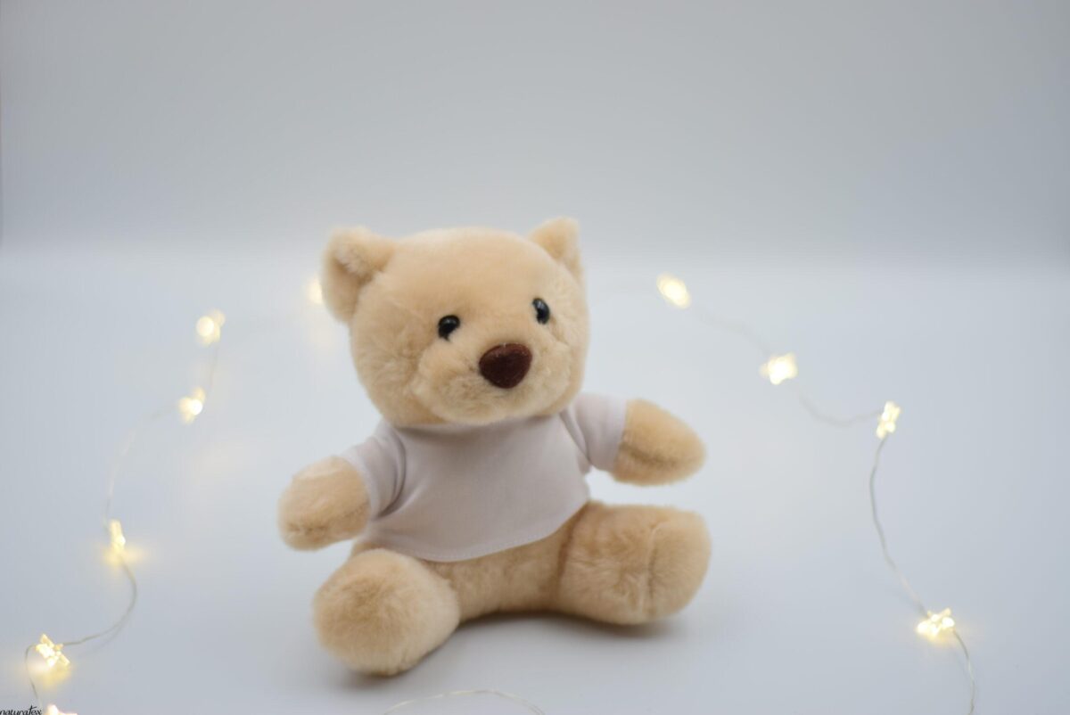 DSC_0058 SoftBear Plush