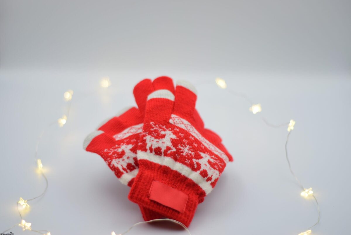 DSC_0060 WinterHug Gloves