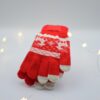 DSC_0061 WinterHug Gloves