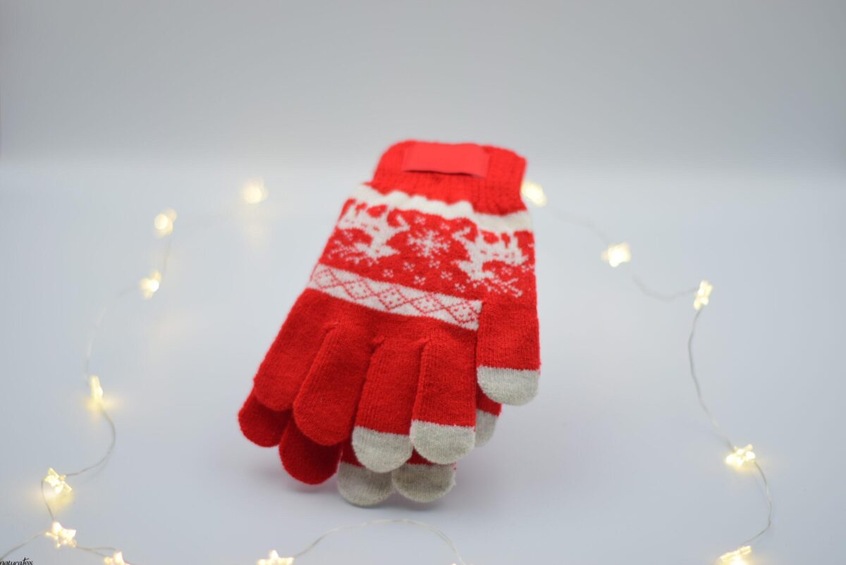 DSC_0061 WinterHug Gloves