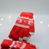 DSC_0062 WinterHug Gloves