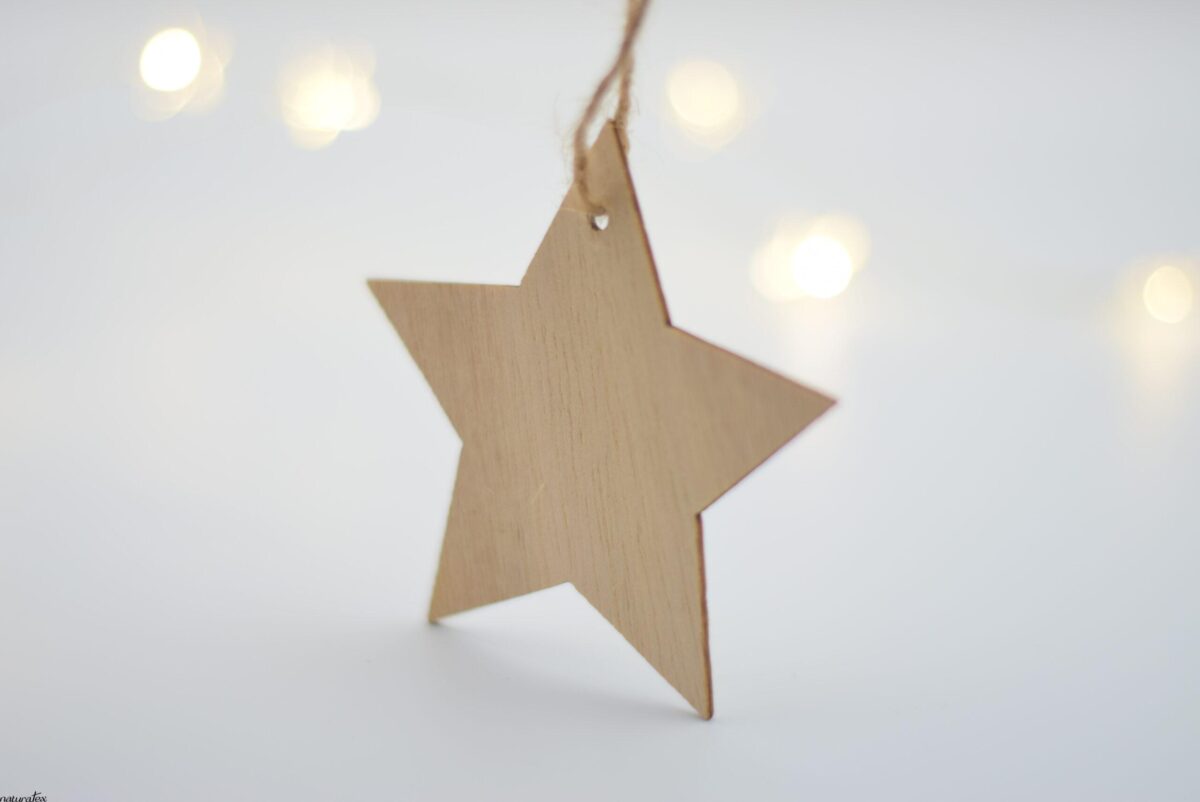 DSC_0077 RusticTree Decoration