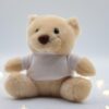 DSC_0083 SoftBear Plush