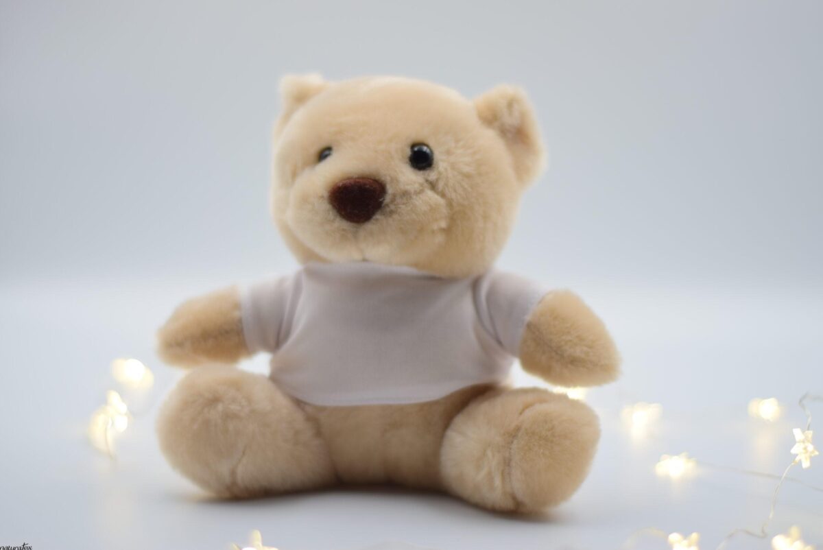DSC_0083 SoftBear Plush