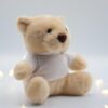 DSC_0084 SoftBear Plush