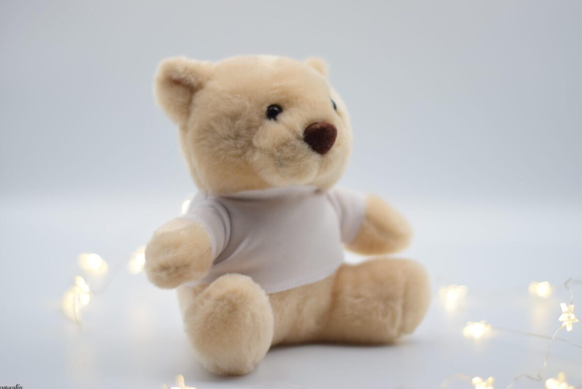 DSC_0084 SoftBear Plush