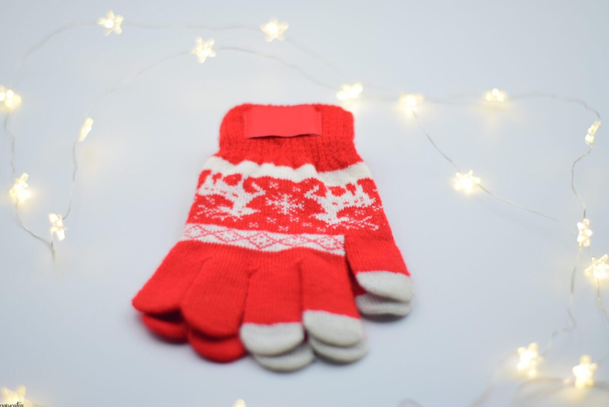 DSC_0095 WinterHug Gloves