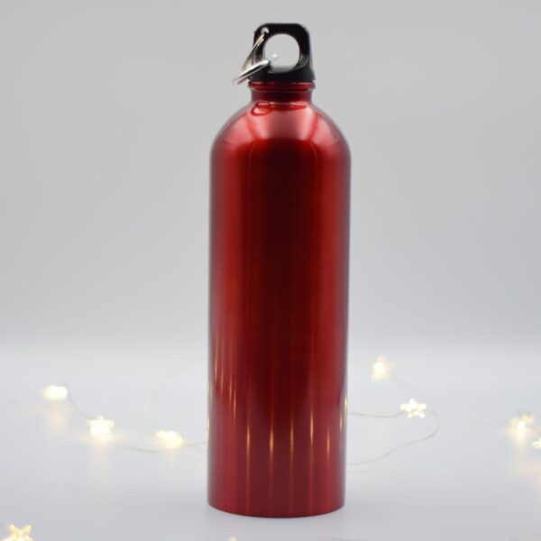 DSC_0110 RedEnergy Thermo Bottle